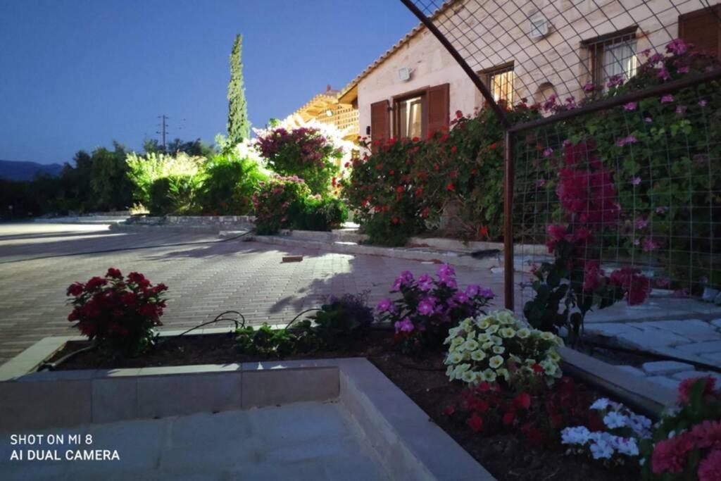 Stonehouse Olivelia - Afrathias Beach Tympáki Exterior foto