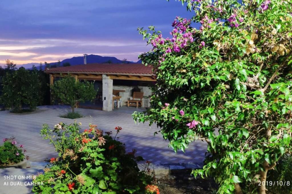 Stonehouse Olivelia - Afrathias Beach Tympáki Exterior foto