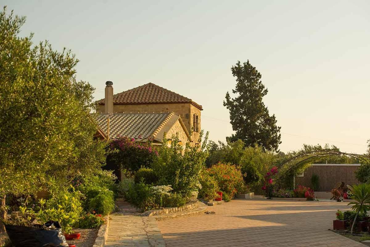 Stonehouse Olivelia - Afrathias Beach Tympáki Exterior foto